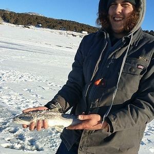 Meet your Posher, Eddie